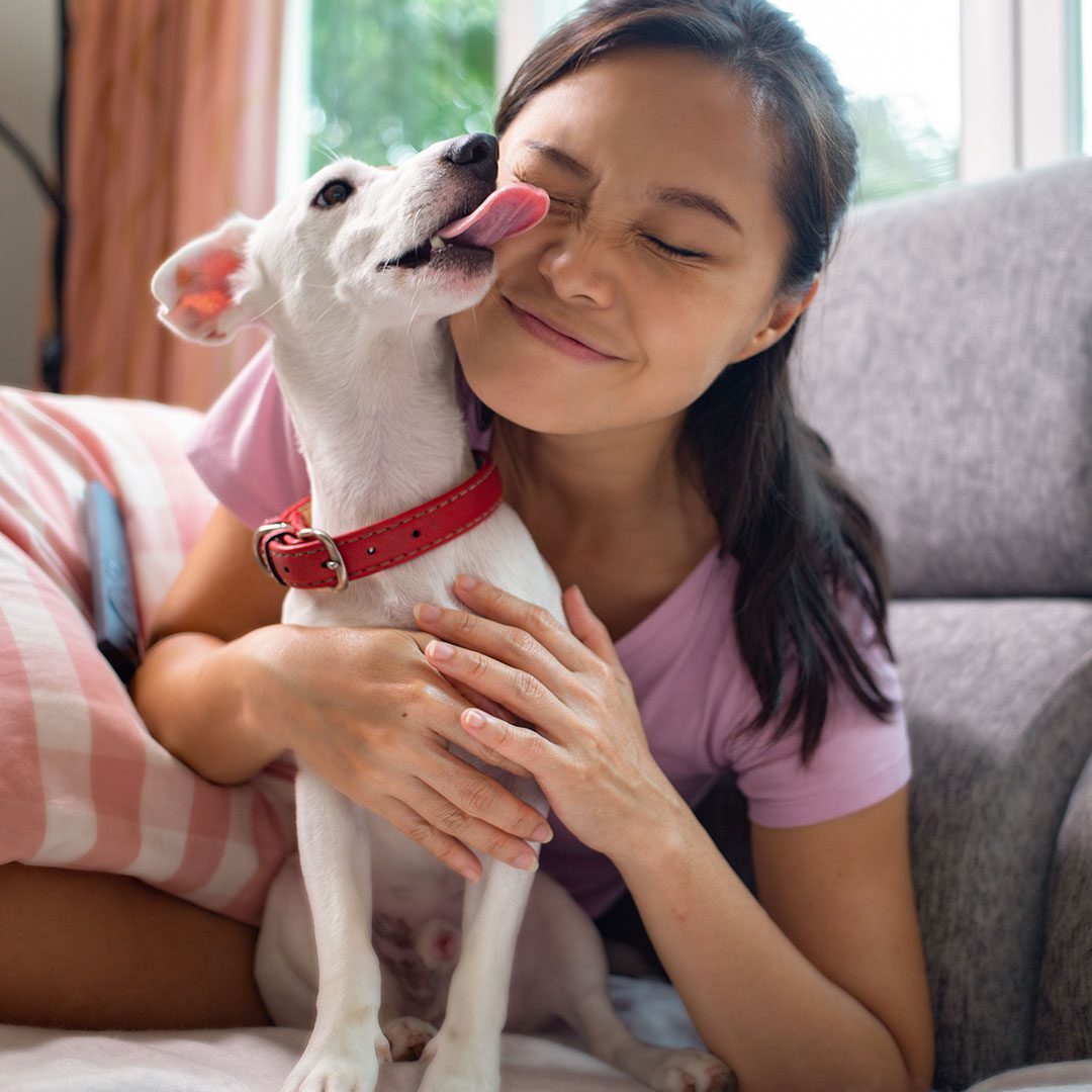 white puppy kissing young girl